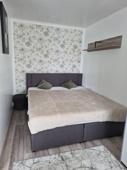 Apartament cu 2 camere semidecomandat în Dacia