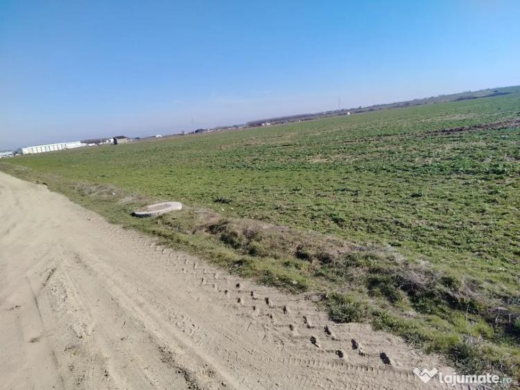 Teren în Cârcea