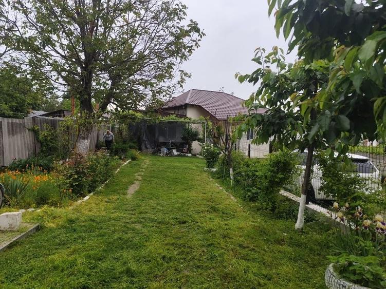 Casă cu 3 camere în Bălcești