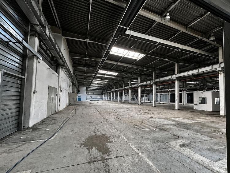 Spațiu industrial, de 20,702 mp, în Timișoara
