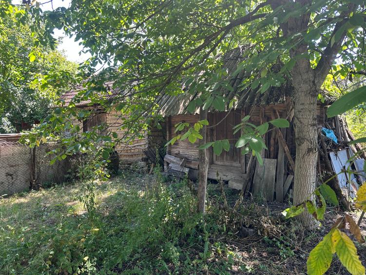 Teren Construcții intravilan de 3862 mp, în Albota