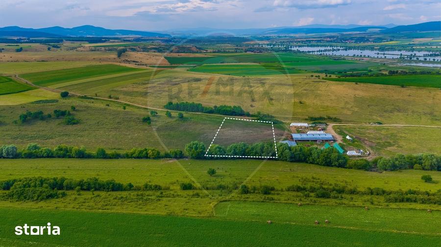 Oportunitate pentru fermieri: 10.800 mp teren arabil in Rotbav, Bra?ov - 10