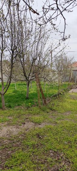 Casă individuală cu 2 camere cu Teren 800 Mp în Galicea Mare