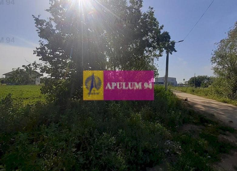 Teren Construcții intravilan de 5000 mp, în Copăceni