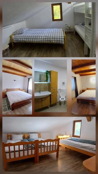 Casă cu Teren 2500 Mp în Techereu