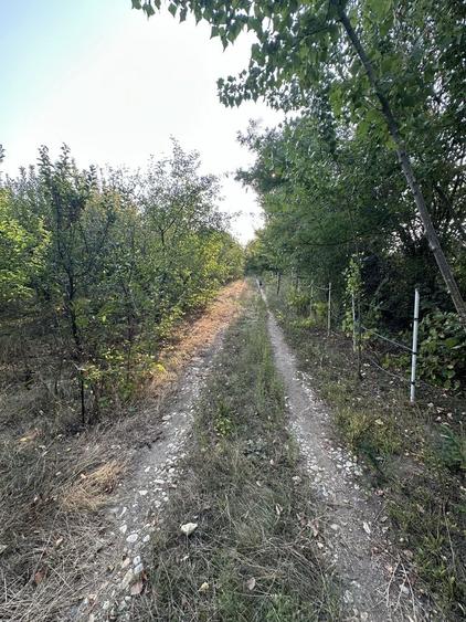 Spațiu comercial, în Ciorogârla