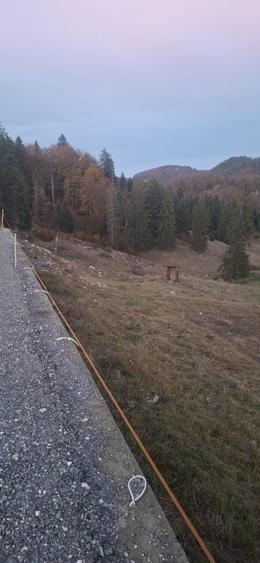 Teren de 2000 mp, în Dâmbovicioara