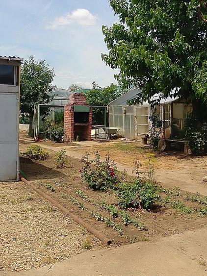 Casă cu 3 camere cu Teren 836 Mp în Giarmata