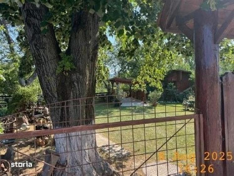 Casă cu 3 camere în Coșești