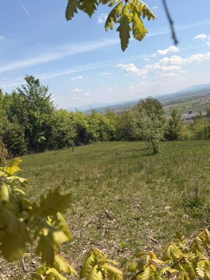 Teren Construcții intravilan de 1400 mp, în Buzești