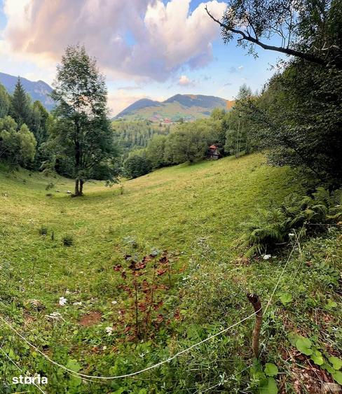 Teren investitie 8635 mp extravilan , Pestera Brasov - 2