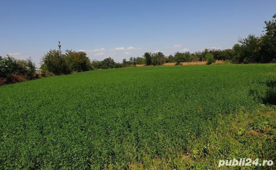 Teren de 2290 mp, în Drăgănești