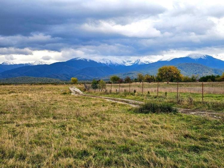 Teren Construcții extravilan de 1000 mp, în Exterior Est