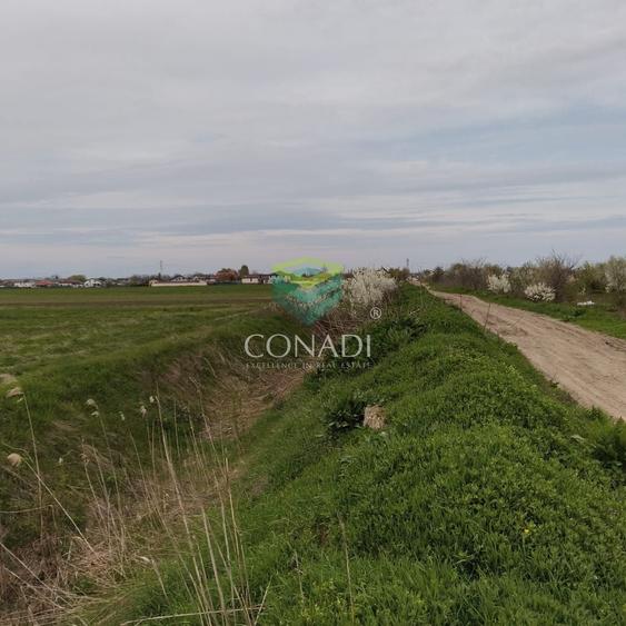 Teren Construcții intravilan de 19330 mp, în Tărtășești
