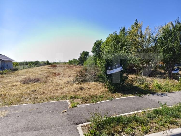 Teren agricol extravilan de 2576 mp, în Careiului