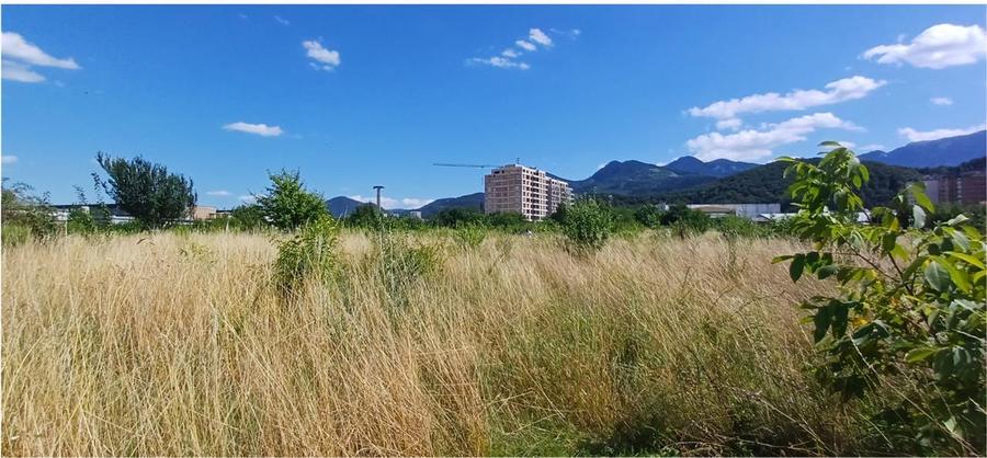 Teren Construcții intravilan de 500 mp, în Noua