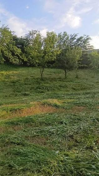 Casă cu 4 camere cu Teren 2500 Mp în Stejaru (Ion Creangă)