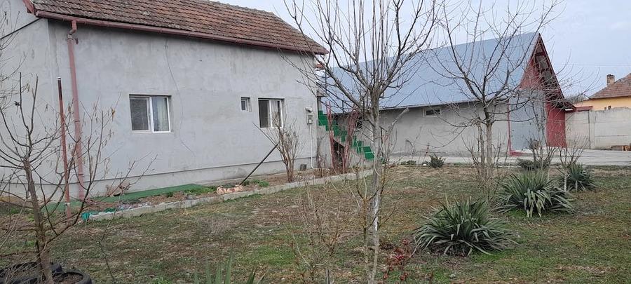 Casa sat pluta com Butoiesti - 6