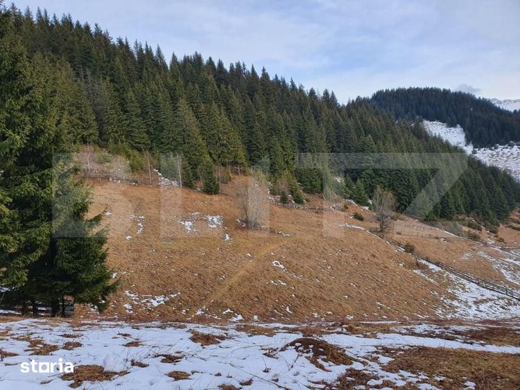 Teren de 20485 mp, în Fundata