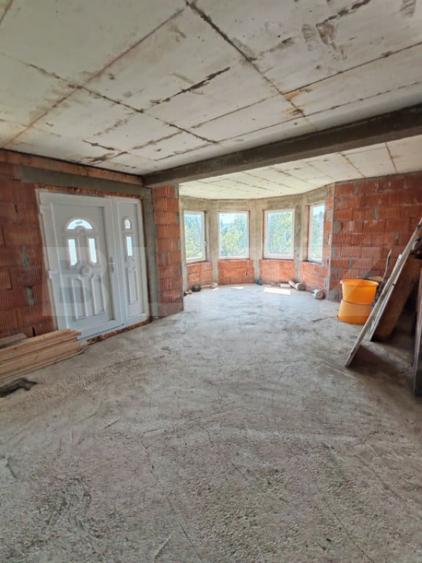 Casa 4 camere, 240 mp, teren 4000 mp, zona Pinticu - 3