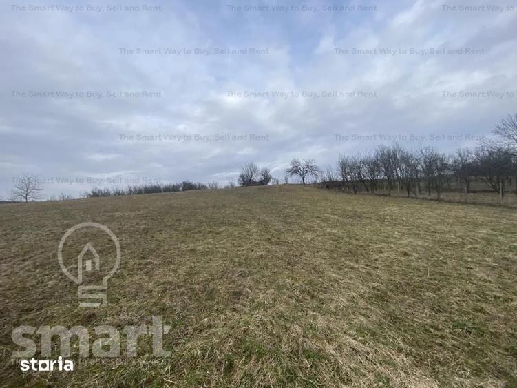 Teren de 5400 mp, în Sava