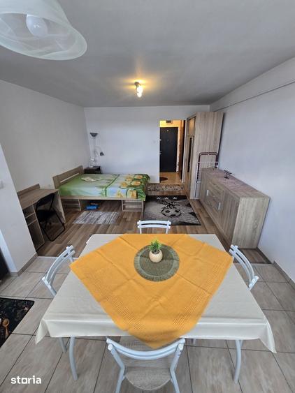 Apartament 1 camera strada Bucegi Cartierul Mana?tur - 10