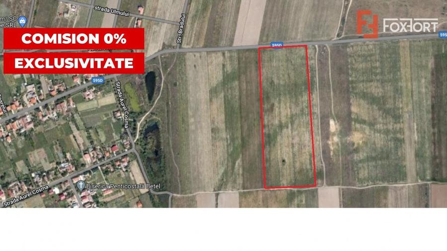 Teren agricol extravilan de 20000 mp, în Moșnița Veche