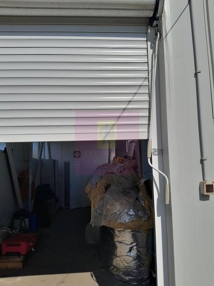 IALOMITA - SE VINDE TEREN 3100 MP - SAT ROSIORI - 17