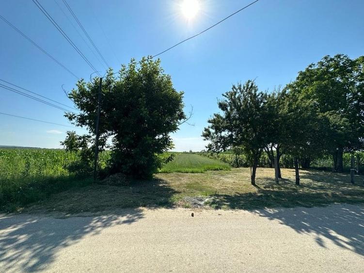 Teren Construcții intravilan de 4394 mp, în Valea Călugărească