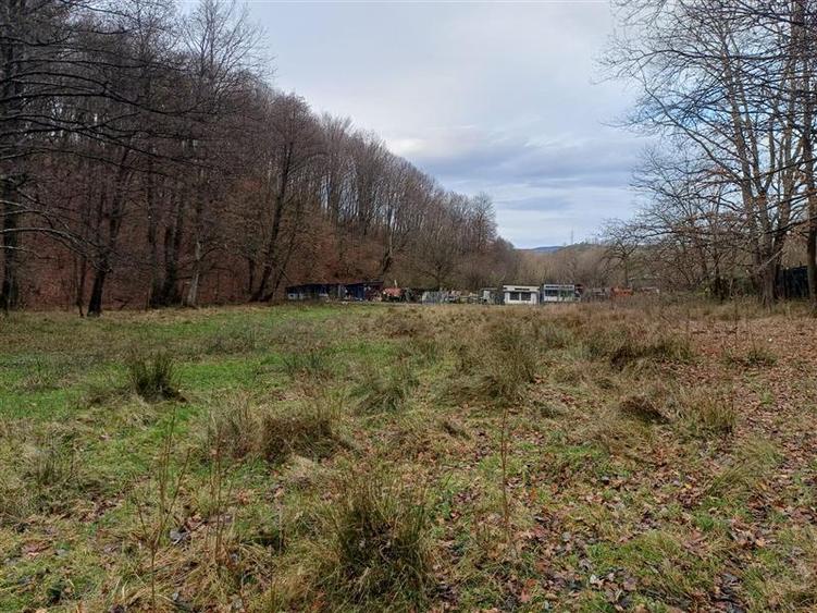 Teren Construcții intravilan de 4500 mp, în Govândari