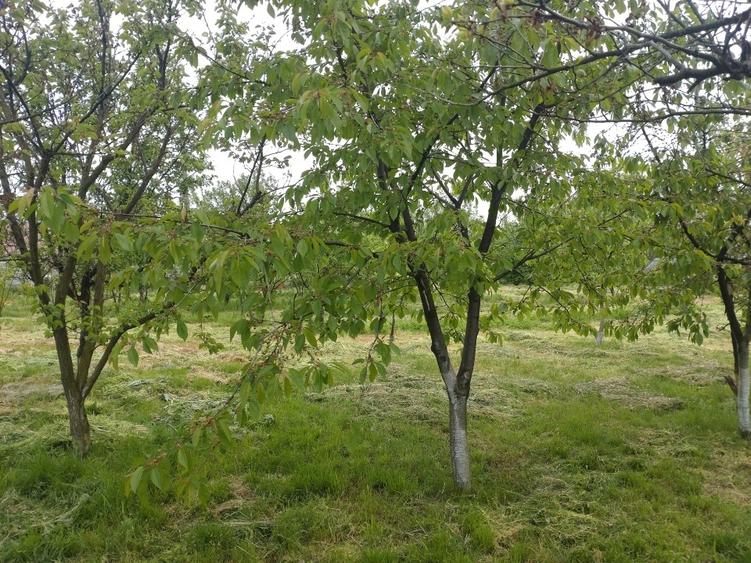 Casă individuală cu 2 camere cu Canalizare în Corbii Mari