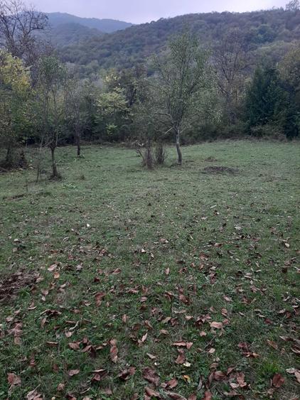 Teren de 4100 mp, în Rușavăț