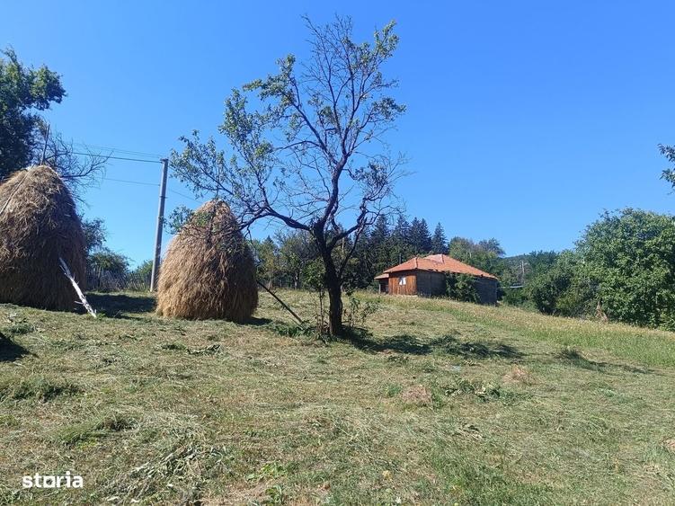 Teren de 10378 mp, în Pietriceaua