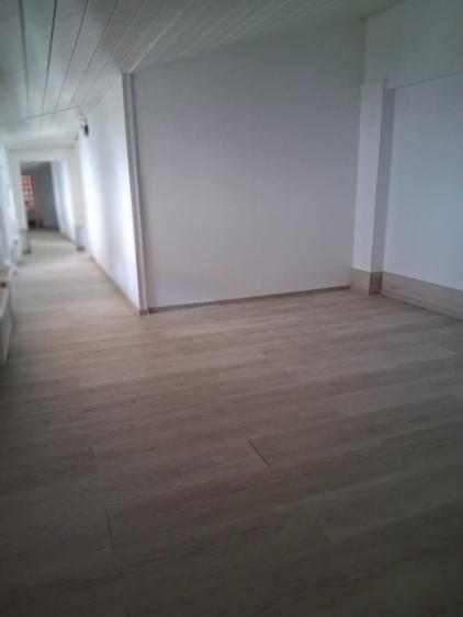 Casă individuală cu 6 camere cu Garaj în Tineretului