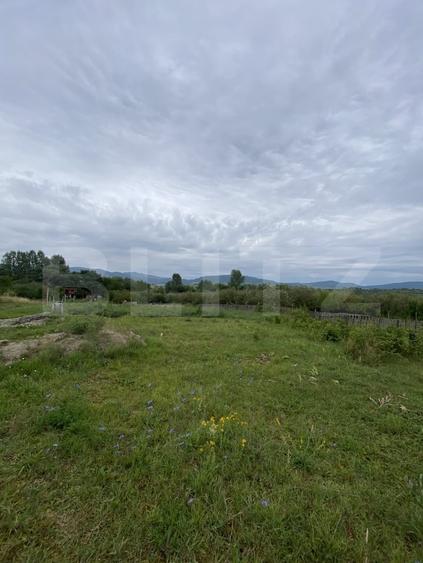 Teren Construcții intravilan de 44000 mp, în Dumitra