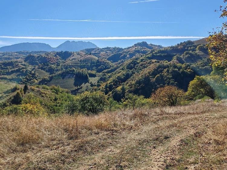 Teren de 10000 mp, în Poiana Mărului