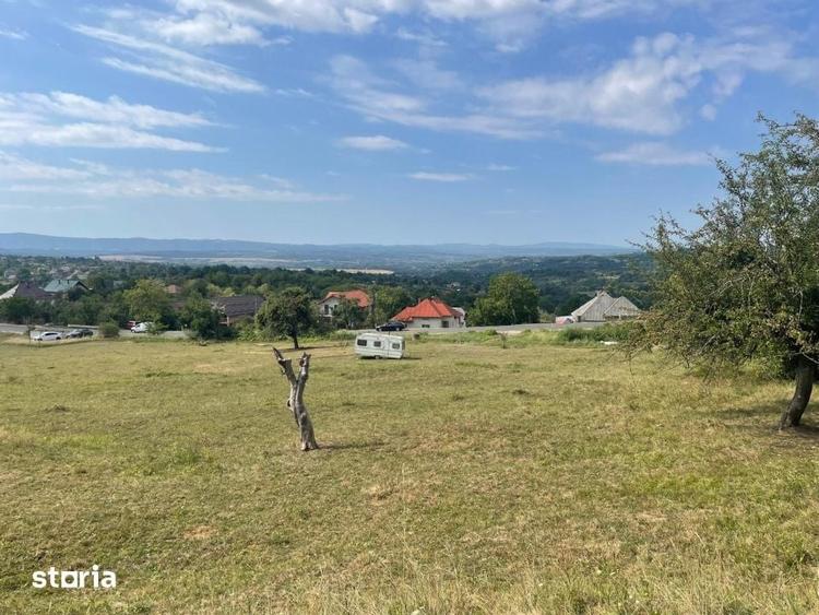 Teren intravilan 1.17ha cu panorama superba si PUZ aprobat Baia Sp - 3