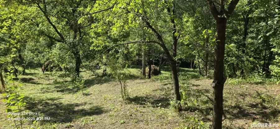 Casă cu 2 camere cu Teren 5300 Mp în Breaza
