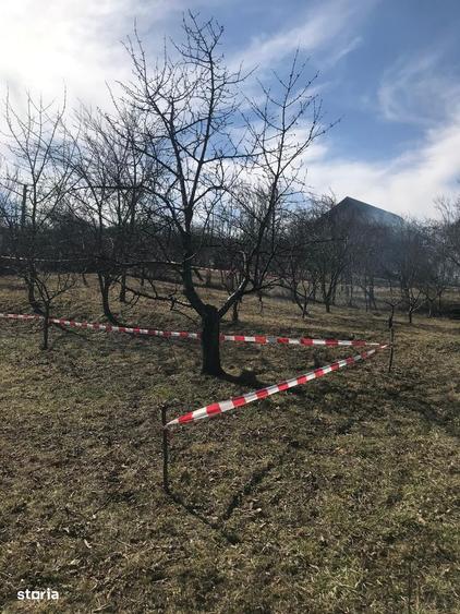 Teren de 715 mp, în Central
