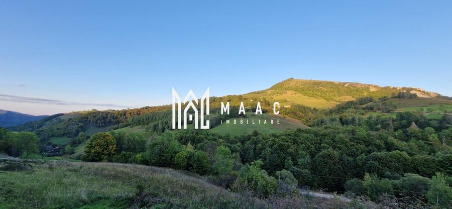 Teren agricol extravilan de 117000 mp, în Râmeț