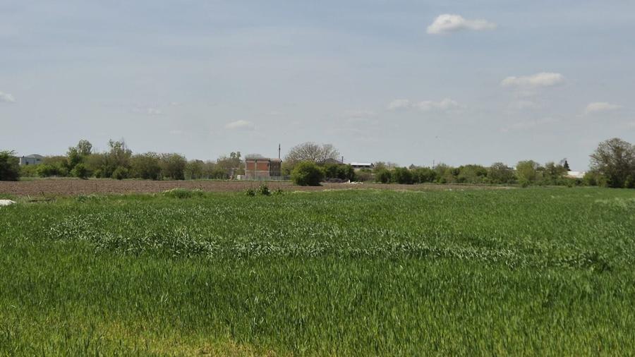 Teren agricol extravilan de 9983 mp, în Berceni