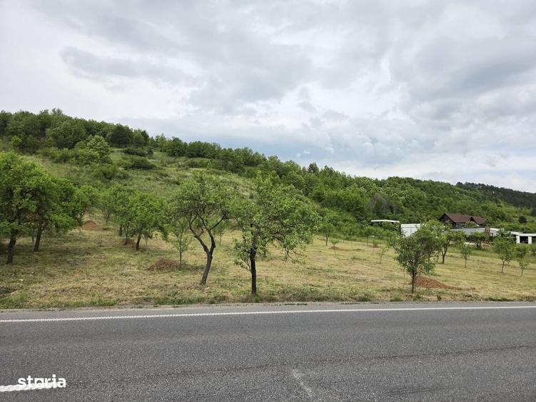 Spațiu comercial, în Tinăud