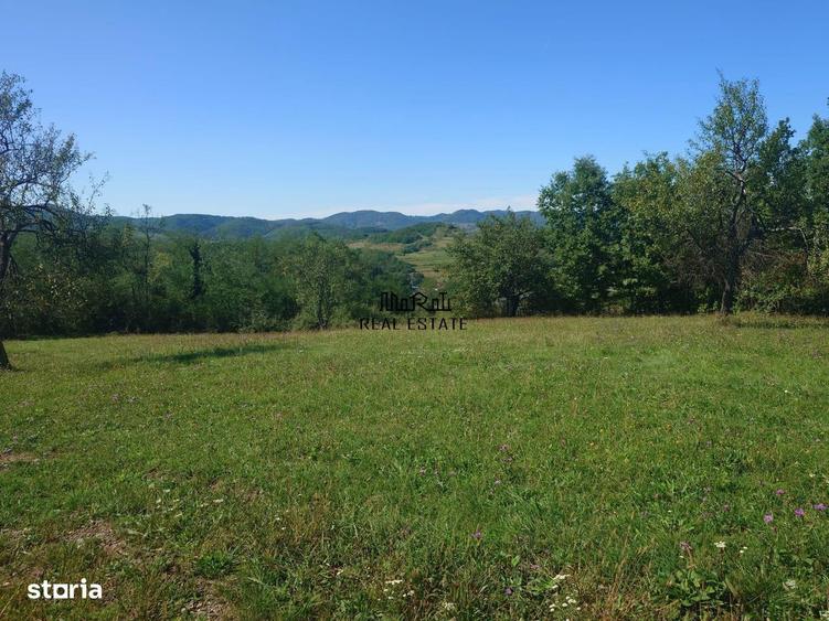 Teren de 8757 mp, în Luncoiu de Jos