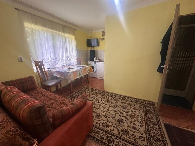 Casă individuală cu 3 camere cu Teren 12141 Mp în Valea Vințului