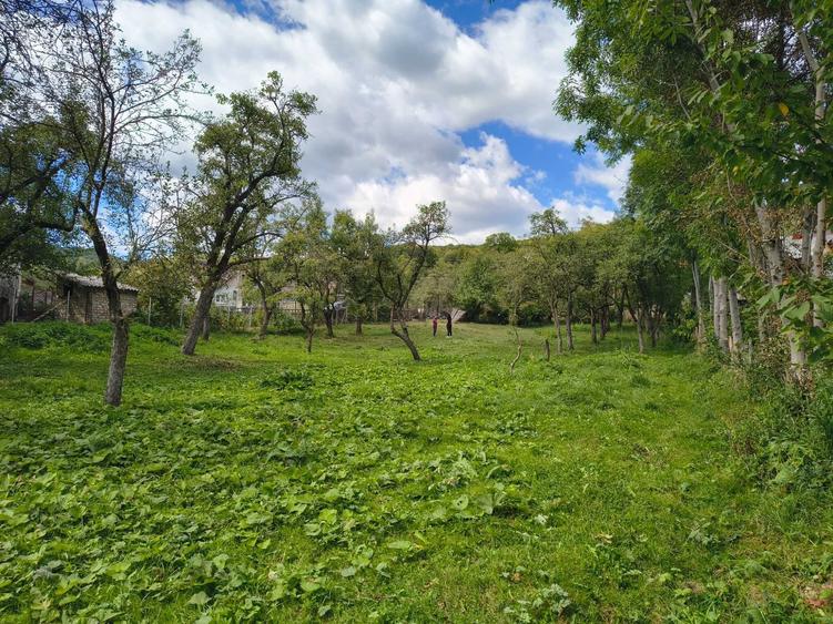 Teren de 2016 mp, în Costești