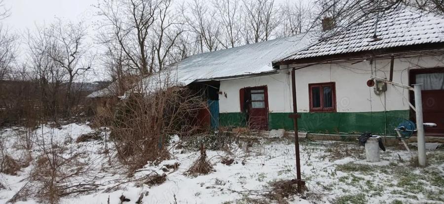 Casă cu 3 camere cu Teren 1600 Mp în Central