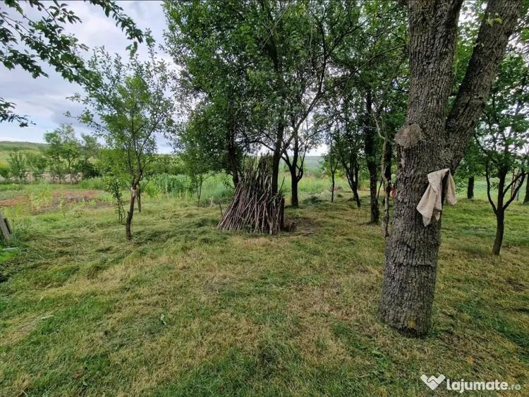 Teren intravilan in sat Feiurdeni, suprafa?a 1573mp - 7