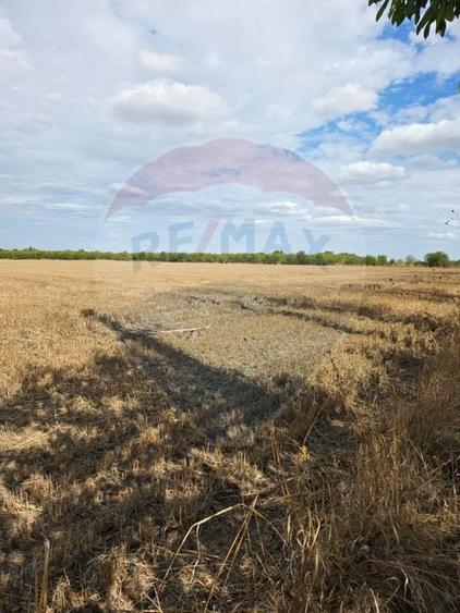 Teren Construcții intravilan de 5000 mp, în Ciolpani