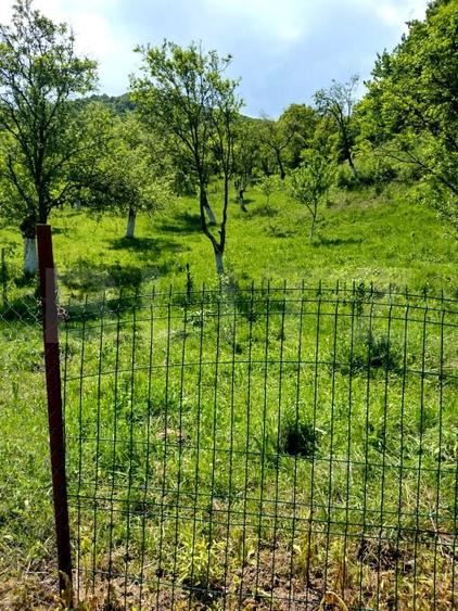 Teren Construcții intravilan de 3709 mp, în Stremț