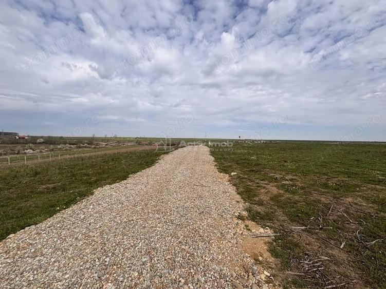 Teren de 500 mp, în Păușa